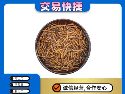 海西回收散虫草